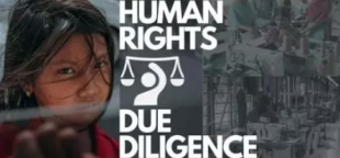 Diligence raisonnable en matière de droits de l'homme