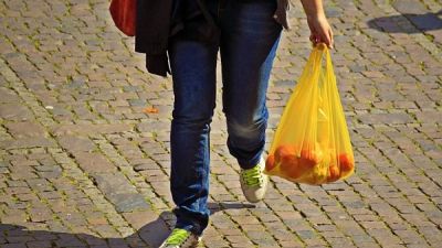 shopper with bag of groceries