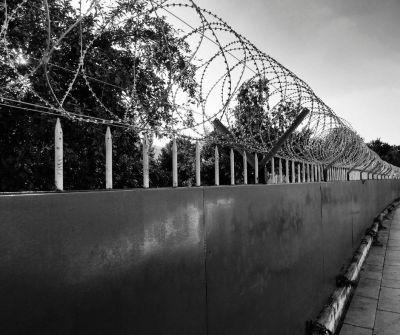 Barbed wire fence