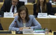 Katja Lehto at EP Econ Hearing